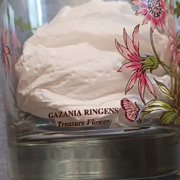 Portmeirion Old Fashion Glasses, "Botanic Garden (2) - Picture 4 of 6